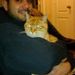 Profile Picture of Carlos Campos (@solracem) on Pinterest