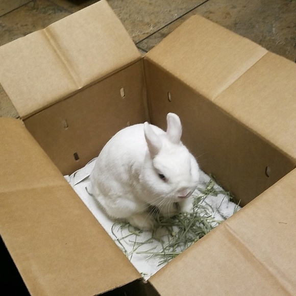 Profile Picture of Abdullah Haqqi (@abdul099) on Poshmark