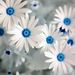 Profile Picture of Zoraida Arce (@zoraidavelezarc) on Pinterest