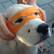 Profile Picture of Mandy Stevens (@90720amanda) on Youtube