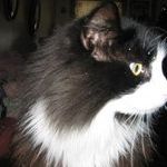 Profile Picture of Tobey Jackson (@sunnyt64) on Pinterest