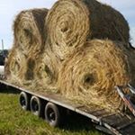 Profile Picture of Jon Driscoll (@driscoll_jon) on Instagram