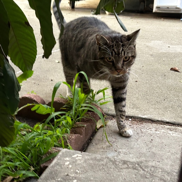 Profile Picture of Emely Cabrera (@emelycabrera95) on Poshmark