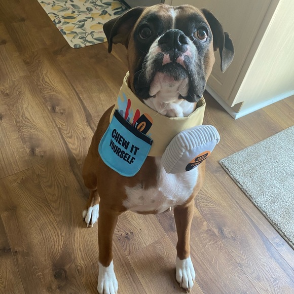 Profile Picture of Nicole Samona (@nsamona) on Poshmark