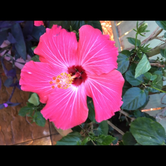 Barbara Lingenfelter - Poshmark Profile Picture of Barbara Lingenfelter (@barbsmail411) on Poshmark