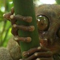 Profile Picture of Pietro Guzzetti (@pietro-guzzetti-2) on Quora