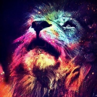 Profile Picture of Alexon Twitter