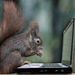 Profile Picture of Alva Vernon Rudolph Clayton Irving Wilson (@alvavernonrudolphclaytonirving) on Pinterest