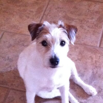 Profile Picture of Darryl Dunn (@darryldunn5) on Twitter