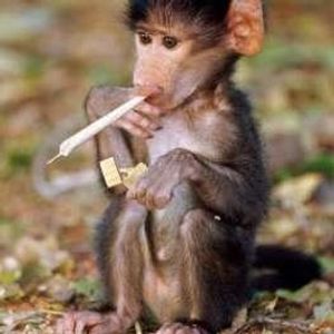 Profile Picture of Ace Hole (@dczcxv) on Myspace