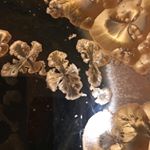 Profile Picture of James Persky (@claystreetpottery) on Instagram