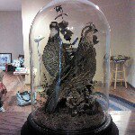 Reece - Instagram Profile Picture of Reece (@dixielandkennels) on Instagram