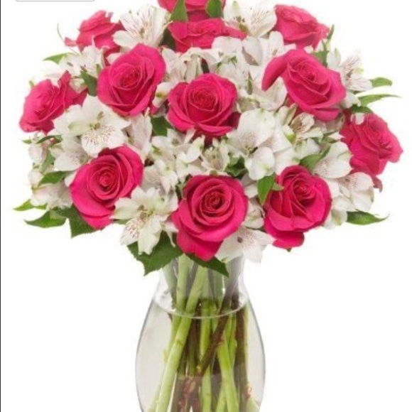 Profile Picture of Tina Timm (@coachtimm) on Poshmark