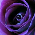 Profile Picture of Nancy Dopko (@dopkonancy) on Instagram