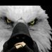 Profile Picture of Youssef Rezek (@youssef.rezek.10) on Facebook