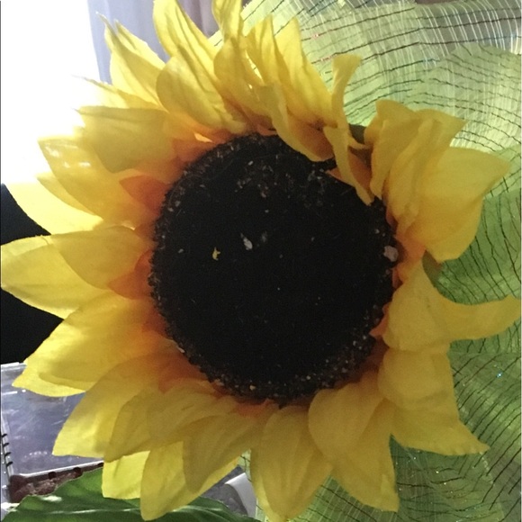 Profile Picture of Janet Dudick (@jdee27) on Poshmark