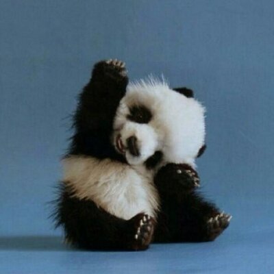 Profile Picture of ANDREW (@AndrewReny18) on Twitter