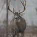 Profile Picture of Matthew Weiland (@freackome) on Pinterest