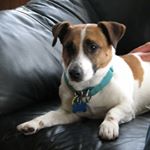 Profile Picture of Kyle Kozera (@karlkoz104) on Instagram