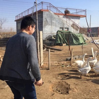 Profile Picture of Kross Andy (@Kross1002) on Twitter