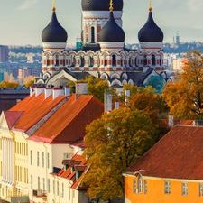 Profile Picture of Ayesha Haque (@ayeshahaque13) on Twitter