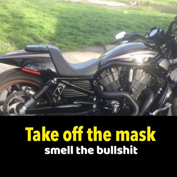 Profile Picture of Debbie Wozny (@terriclarkfan97) on Poshmark