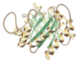 Profile Picture of Triosephosphate isomerase - Wikipediaon Wikipedia