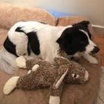 Profile Picture of Candy Higgins (@polocandy2) on Instagram