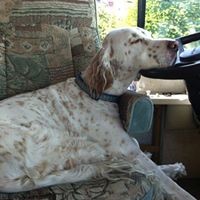 Profile Picture of Bob Sandy (@bob-sandy-12) on Quora