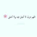 amal - Instagram Profile Picture of amal (@amal.atallah.80.amal) on Instagram