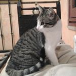 Profile Picture of Jone (@markinezjone) on Instagram