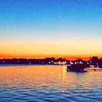 Profile Picture of Joey O'Neill's Spam Account (@joey_spammsss) on Instagram