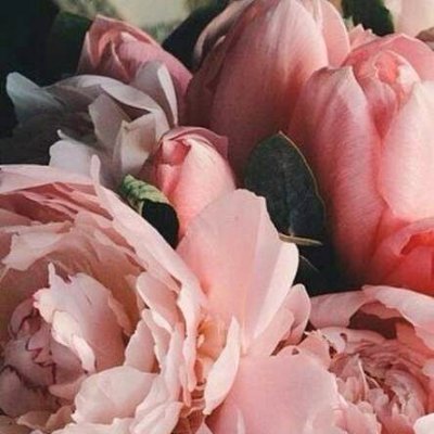 Profile Picture of Tasha Lo Presti (@@tashzar) on Twitter