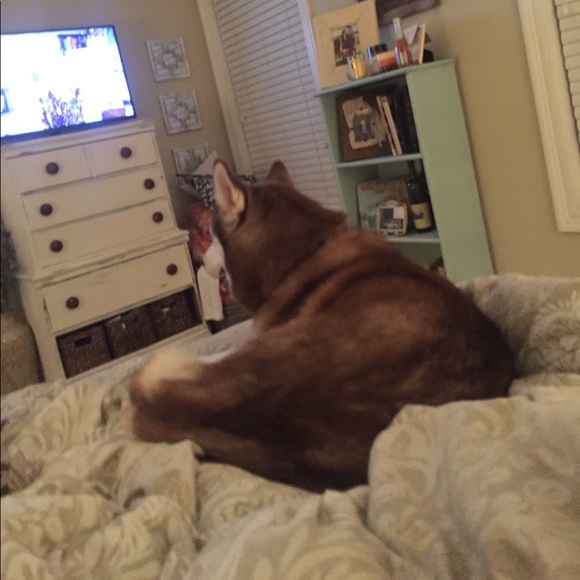 Profile Picture of Blake Summers (@mbsummers1) on Poshmark