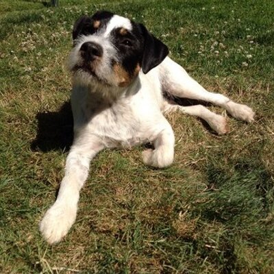 Profile Picture of Kate Terry (@kateterry16) on Twitter