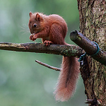 Profile Picture of Yvonne (@yve1964) on Flickr