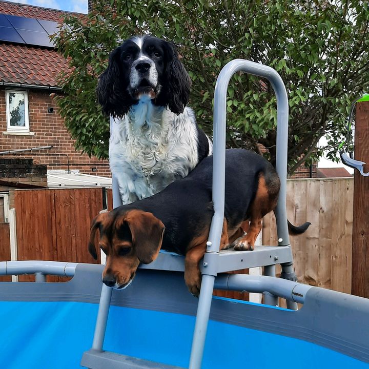 Profile Picture of Stacey Appley (@staceyapple) on Tiktok