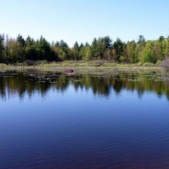 Farzy Kayal - Poshmark Profile Picture of Farzy Kayal (@farzy2004) on Poshmark