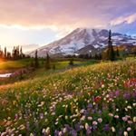 Profile Picture of ronfridell (@ronfridell) on Instagram