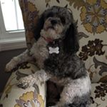 Profile Picture of Tamara Keen (@tamarakeen) on Instagram
