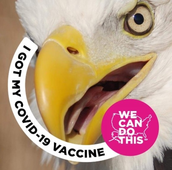 Profile Picture of Arlene Tyger (@tygka12) on Poshmark