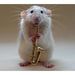 Profile Picture of Magali (@MagaliRosemoon) on Pinterest