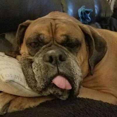 Profile Picture of Ken (@gasman1993) on Twitter