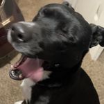 Profile Picture of Preston Wagner (@pcw659) on Instagram