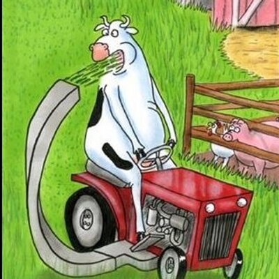 Profile Picture of Kyle Grizzle (@ILoveZippos211) on Twitter