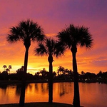 Profile Picture of Robert Howell (@robert.howellc51) on Flickr