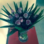 Profile Picture of Jo Plunkett (@joplunks) on Instagram