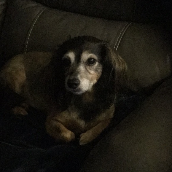 Kim Bartholomaus - Poshmark Profile Picture of Kim Bartholomaus (@kbartholomaus) on Poshmark