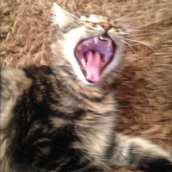 Max Hassloch - Poshmark Profile Picture of Max Hassloch (@nikekid12344321) on Poshmark