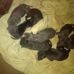 Mario Hughes - Instagram Profile Picture of Mario Hughes (@chilllife367) on Instagram